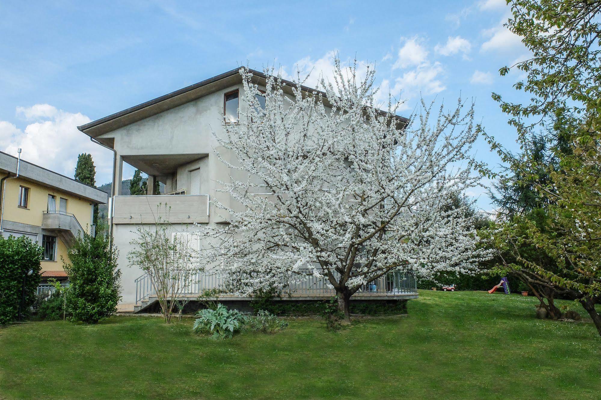 B&B I Fiori San Giustino Exteriér fotografie